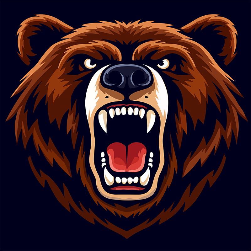 Bears